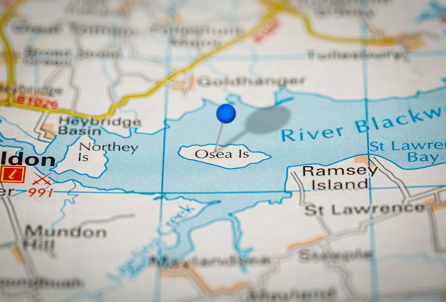 Mystery Island Opens