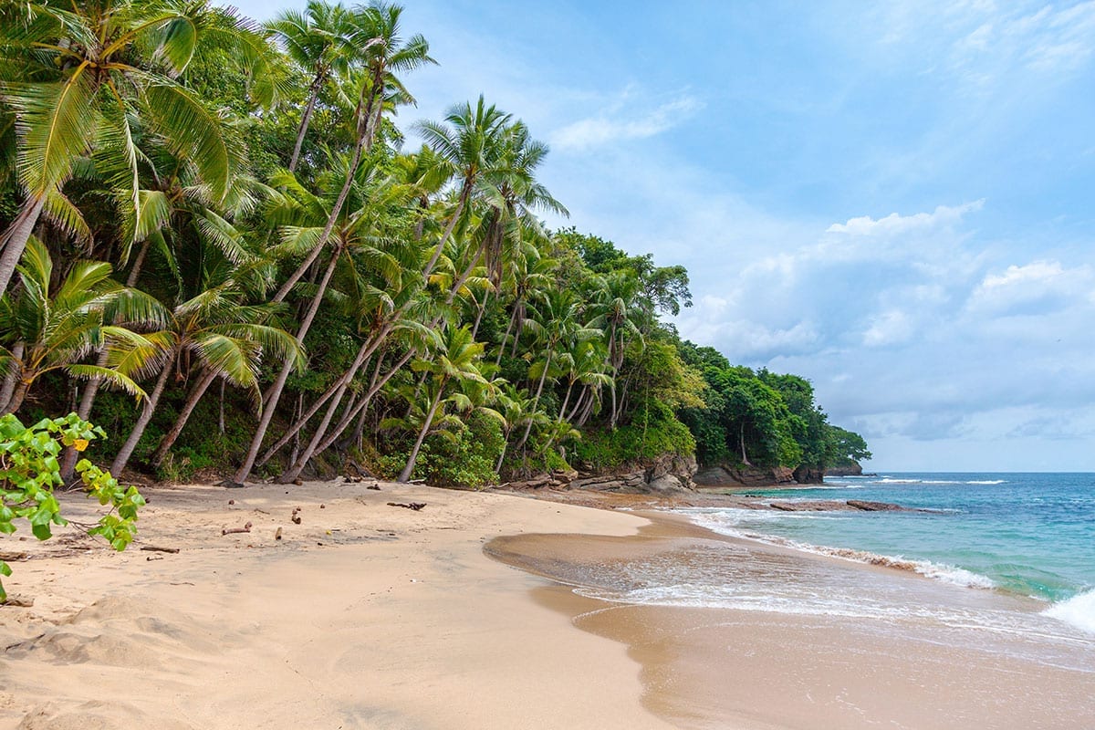 Wonder - Desert Island luxuries