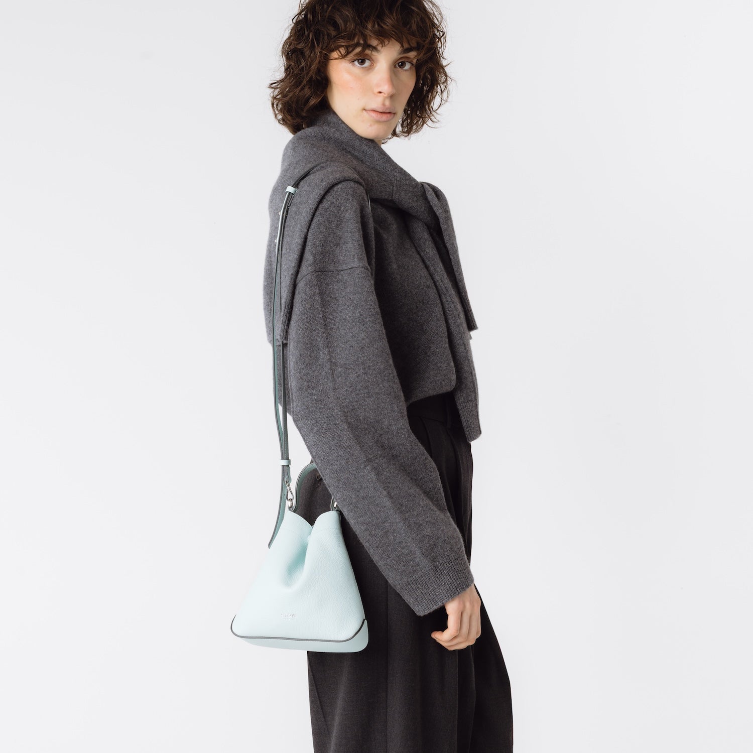 Mini Curve Leather Crossbody Strap